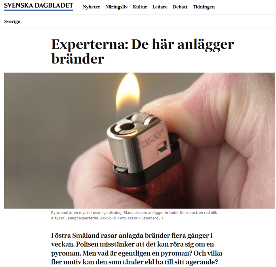 brandutredning brandutredare spridningsutlåtande sakkunnigutlåtande föreläsning elbrand mordbrännare brandexpert media brand bränder profil pyroman mordbrännare anlagd